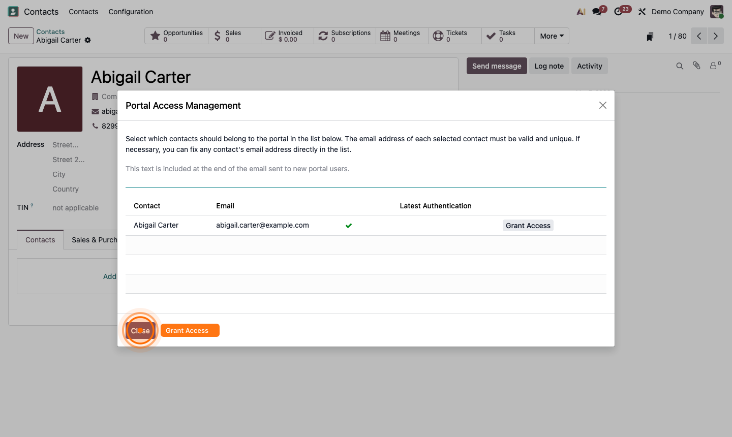 Step 2: Grant portal access dialog showing customer email and grant/revoke option